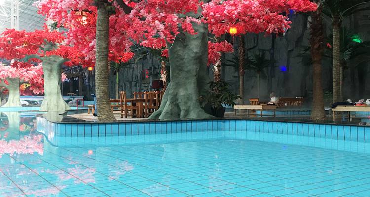 亿福园亲子套票