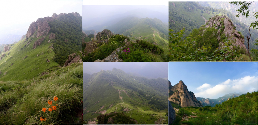 图片 19_WPS图片