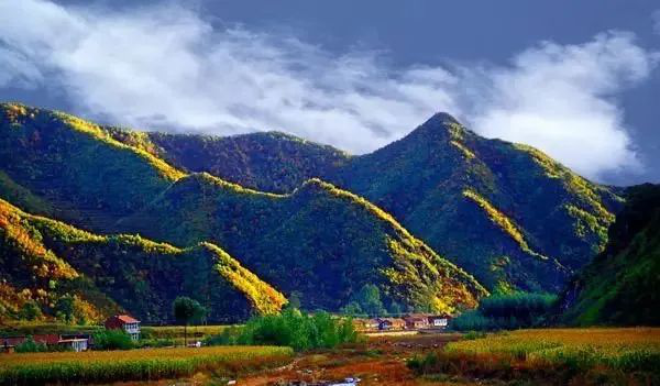 茅荆坝国家森林公园-最美的秋色