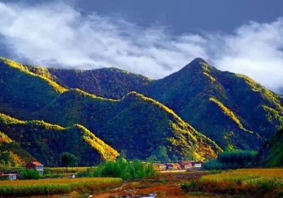 茅荆坝国家森林公园-最美的秋色