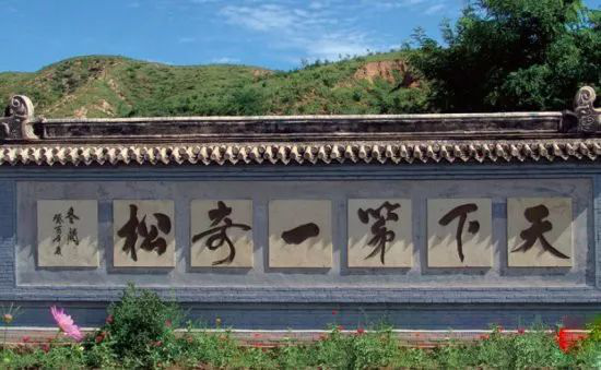 图片 7