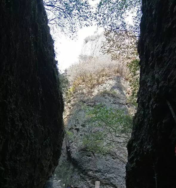 图片 18
