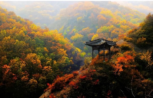 碧霞山风景区