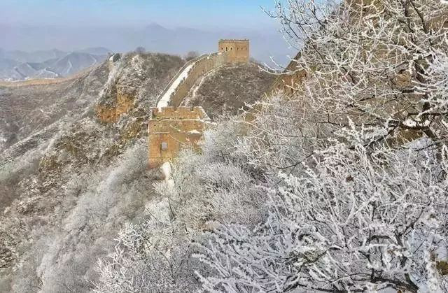 图片 11 图片 11